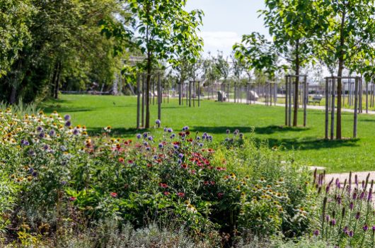 Grünband und Grünfinger