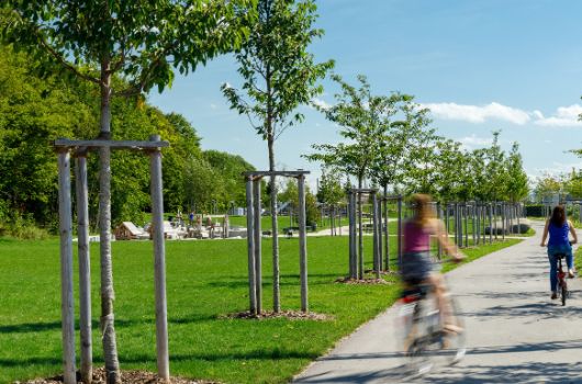 Grünband und Grünfinger