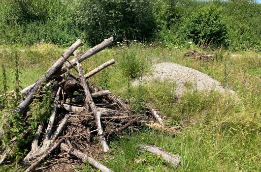 Holz, Kies und Sand für die Zauneidechse