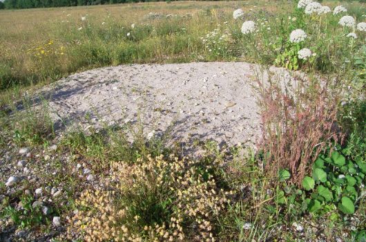 Ausgleichsfläche Oberwiesenfeld 