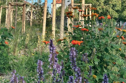 Altstadtring Nordwest: Oberflächenwiederherstellung Oskar-von-Miller-Ring