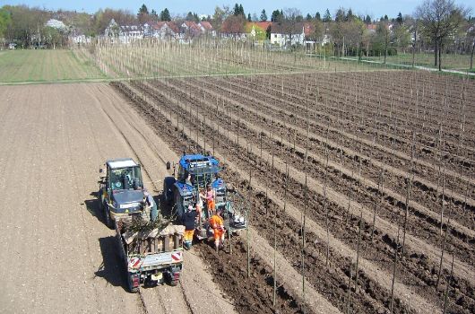 Baumschule Laim Luftbild