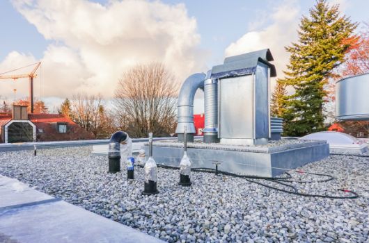 Ansicht Schwanenhälse