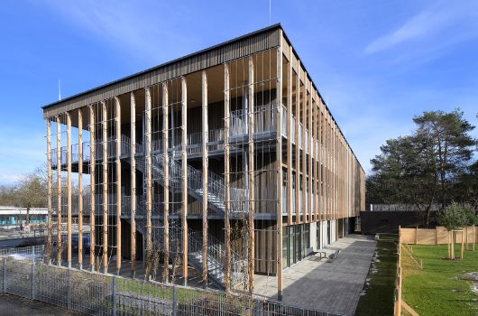 An der Ost- und Westseite befinden sich die Fluchttreppen, davor wachsen Kletterpflanzen hoch. Die Südseite ist im Terrassenbereich stützenfrei, die Fluchtbalkone sind von oben abgehängt.