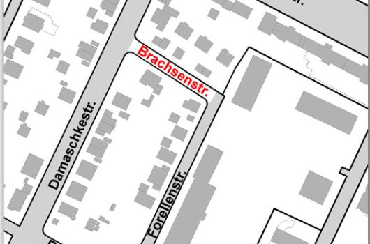 Verlauf Brachsenstraße