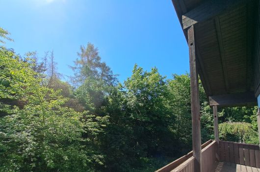 Ludwig-Ganghofer36 - Blick nach Süden