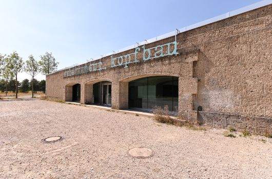 Seitenfrontale Kopfbau