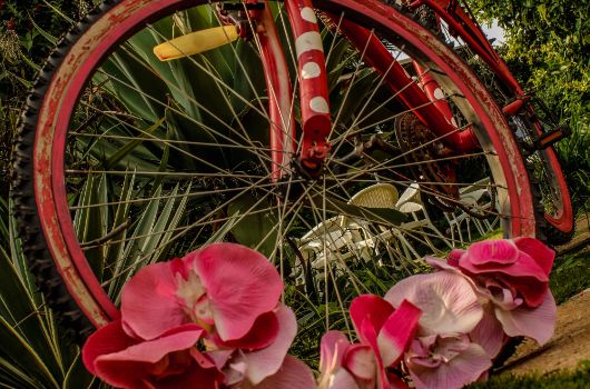 Fahrradkultur in Harare