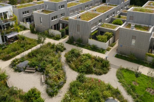 Außenanlage Jörg-Hube-Str. 103-113 Bürgerbauverein München