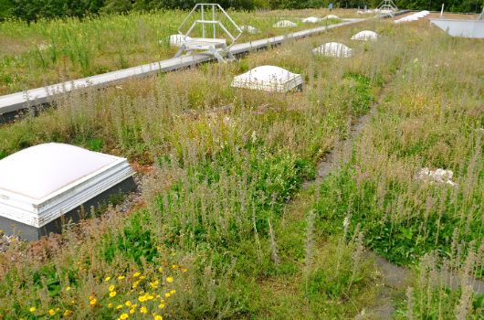 Gewerbeflächen Ingolstädter Str.170b Toni GmbH 