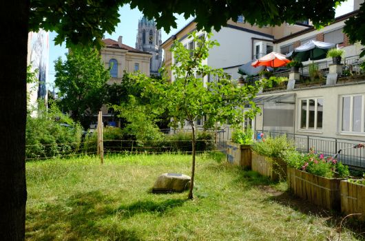 Höfe Schwanthalerstr. 80 Rgb Träegerkreis EineWeltHaus