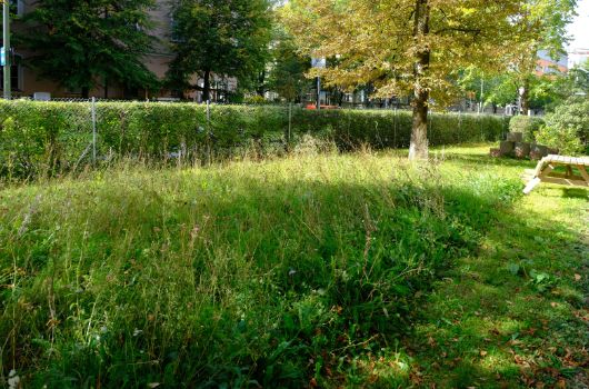 Beethovenplatz 1 Bund Naturschutz Weissmann