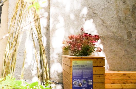 Begrünter Innenhof Bellevue di Monaco