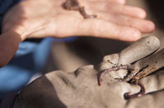 Workshop in der St Anna Schule