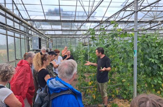 1. Sommeraktion Kräuterwanderung im Landschaftspark West, Besuch eines Gewächshauses