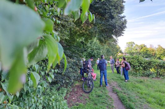 Spaziergang durch den Landschaftspark West 