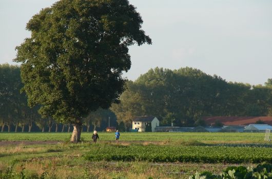 Feldmochinger Feldflur