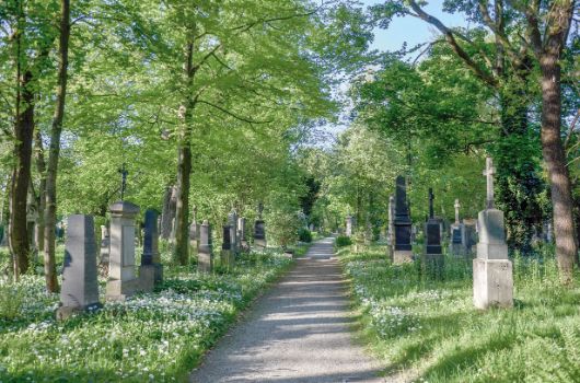 Baumbestand im Alten Südfriedhof