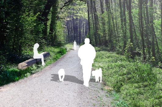 Visualisierung Aubinger Lohe