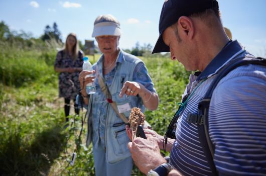 Aktionstag Essbare Parkmeile in der Parkmeile Feldmoching