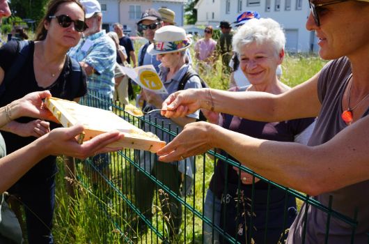 Aktionstag Essbare Parkmeile in der Parkmeile Feldmochinger Anger