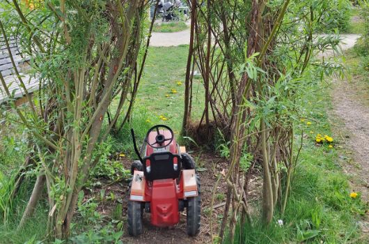 Tunnel aus Weidenruten im Prinz-Eugen-Park