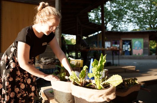 Wie man auch auf wenig Platz auf dem Balkon essbare Pflanzen anbauen kann, zeigt die NEB-Action „Neuperlach Isst Grün“. 
