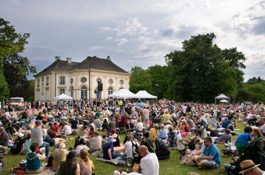 Publikum bei der Serenade im Park