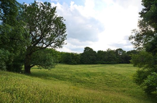 Pasinger Stadtpark an der Planegger Straße
