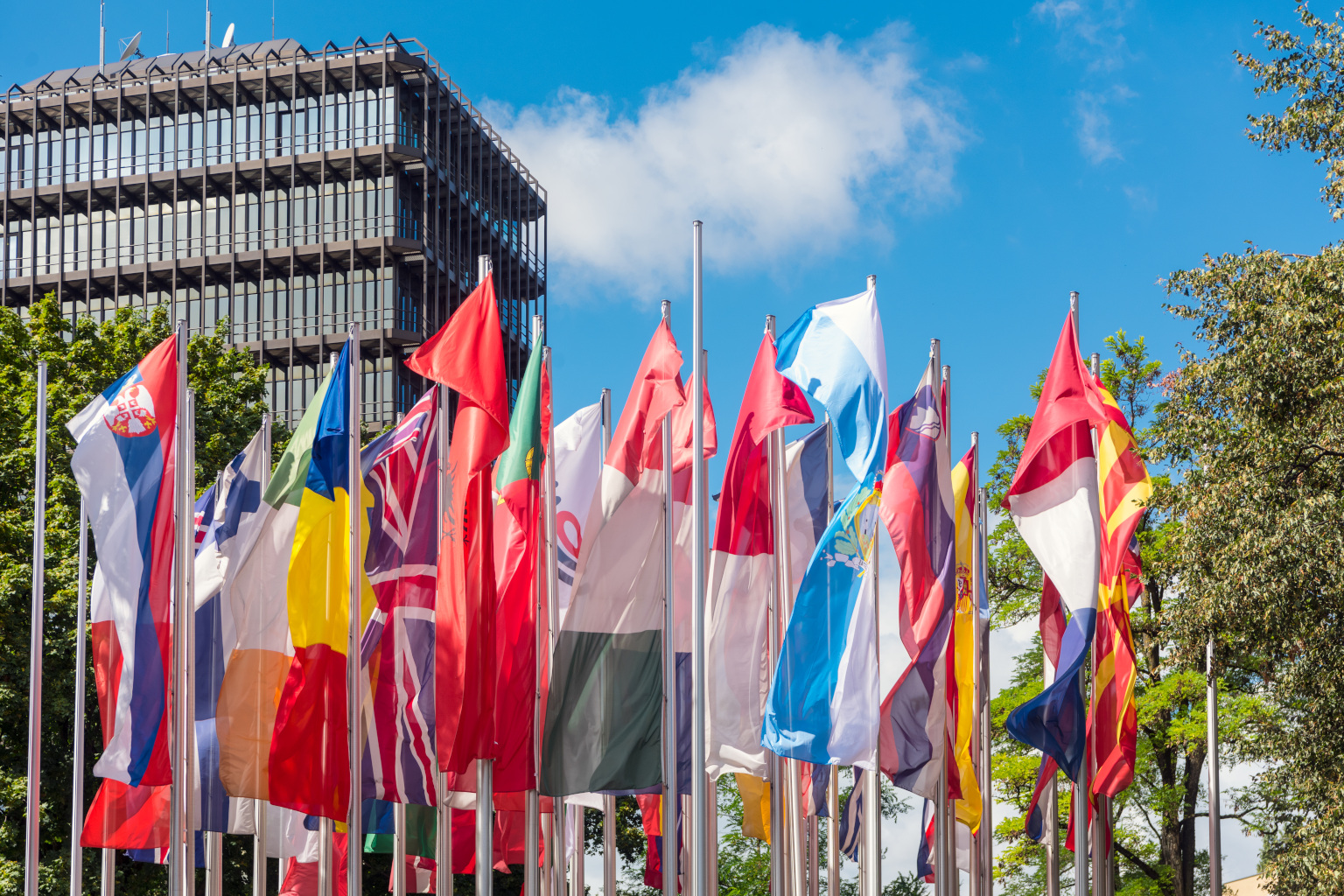 Internationale Flaggen