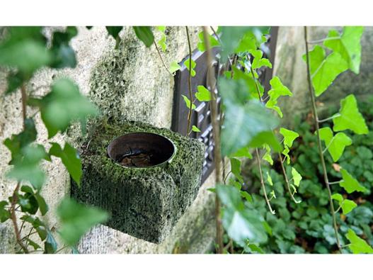 Grab im Friedhof Obermenzing