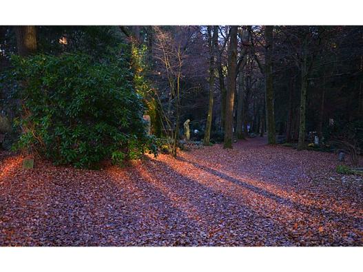 Gräber im Waldfriedhof Solln